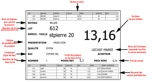 Exemple : explication d'un cadran à la criée de Lorient