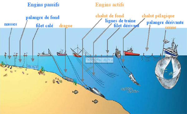 filets de mer - équipement de pêche ou agrès comme toile de fond