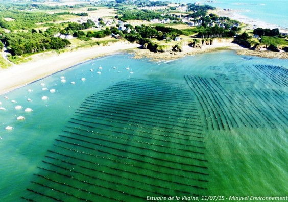 Les lundis de la mer – La qualité des eaux littorales du Morbihan