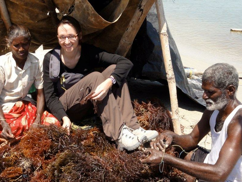 Les lundis de la mer – Un tour du monde de l’innovation sur les algues