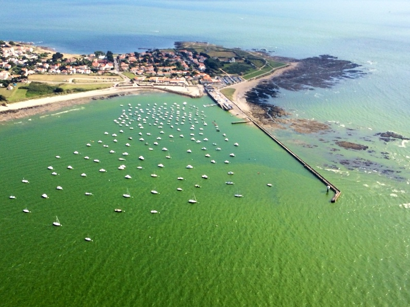 Les lundis de la mer – Quand la mer fait bloom