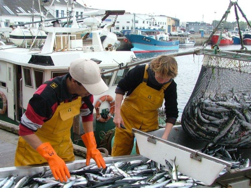 Les lundis de la mer – Produits de la mer frais : du bateau à l’assiette, quelles innovations ?