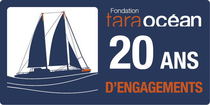 Escale de Tara à Lorient