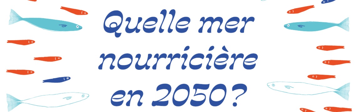 Scénarios pour approvisionner la France en produits de la pêche et de l&rsquo;aquaculture en préservant le climat
